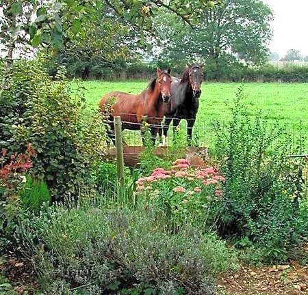 Aux Gaietes De La Sabotiere 3*