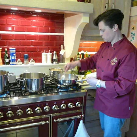 Aux Gaietes De La Sabotiere Bed & Breakfast 3*