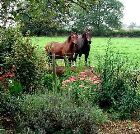 Aux Gaietes De La Sabotiere 3*